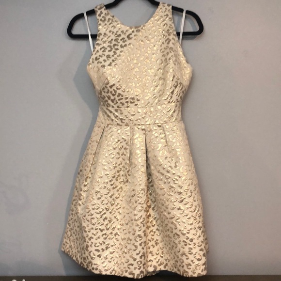 Hutch Dresses & Skirts - Hutch Gold Leopard mini dress size 2